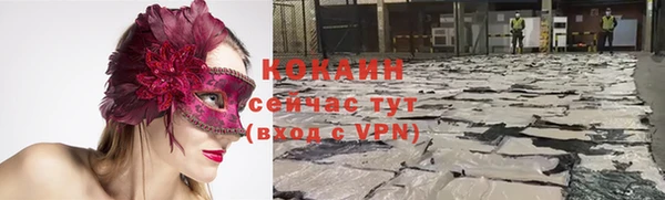 стаф Волоколамск