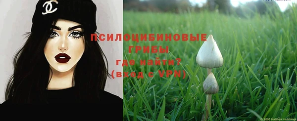 прущие крисы Волосово