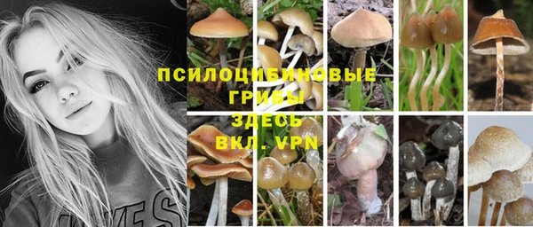 крисы Протвино