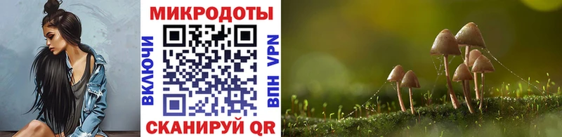 Галлюциногенные грибы GOLDEN TEACHER Осинники